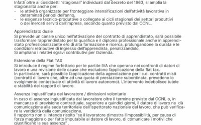 IL DISEGNO DI LEGGE COLLEGATO LAVORO 2024 RENDE IL RAPPORTO DI LAVORO ANCORA PIU’ PRECARIO.