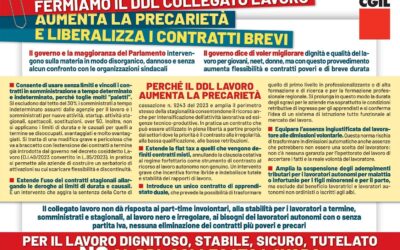 NO al DDL COLLEGATO A L LAVORO